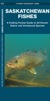 Image for Saskatchewan Fishes