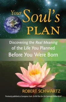 Your Soul’s Plan: Discovering the Real Meaning of the Life You Planned Before You Were Born