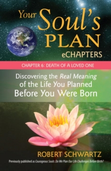 Image for Your Soul's Plan eChapters - Chapter 6: Death of a Loved One: Discovering the Real Meaning of the Life You Planned Before You Were Born