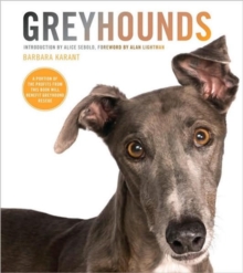 Image for Greyhounds