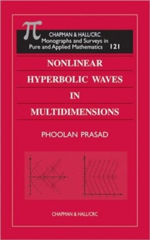 Image for Nonlinear Hyperbolic Waves in Multidimensions