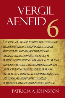Image for Aeneid 6