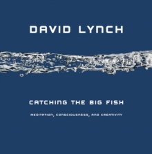 Image for Catching the Big Fish : Meditation, Consciousness and Creativity