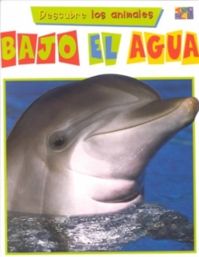 Image for Bajo El Agua