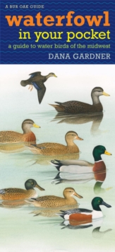Image for Waterfowl in Your Pocket : A Guide to Water Birds of the Midwest