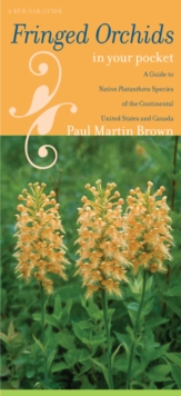 Image for Fringed Orchids in Your Pocket : A Guide to Native Platanthera Species of the Continental United States and Canada