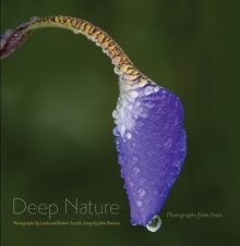 Image for Deep Nature