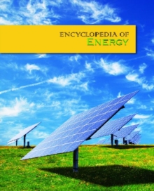 Image for Encyclopedia of energy