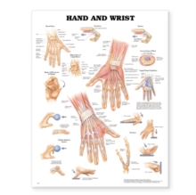 Image for Hand and Wrist Anatomical Chart