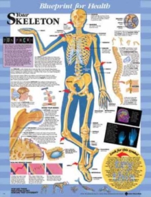 Image for Blueprint for Health Your Skeleton Chart