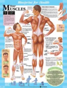 Image for Blueprint for Health Your Muscles Chart