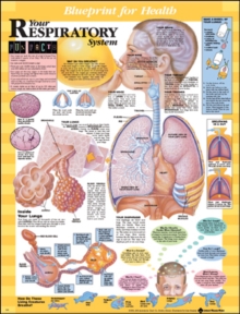 Image for Blueprint for Health Your Respiratory System Chart