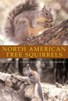 Image for North American Tree Squirrels