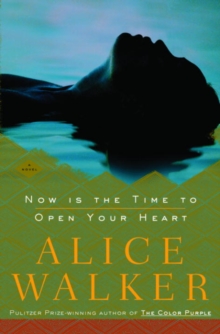 Image for Now is the time to open your heart: a novel