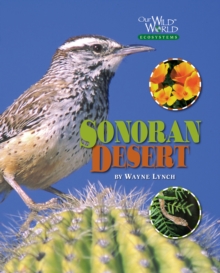 Image for The Sonoran Desert