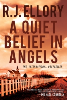 Image for Quiet Belief in Angels: A Novel.
