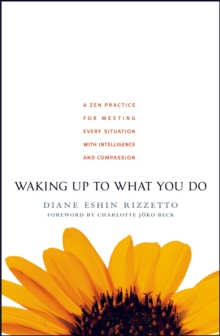 Waking Up to What You Do: A Zen Practice for Meeting Every Situation with Intelligence and Compassion
