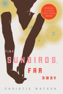 Image for Tiny sunbirds, far away: a novel