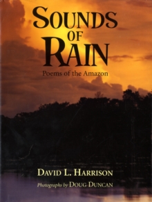 Image for Sounds of Rain