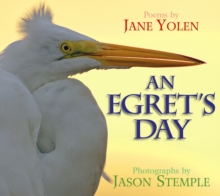 Image for An Egret's Day
