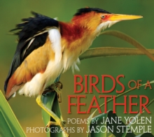 Image for Birds of a Feather