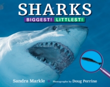 Image for Sharks: Biggest! Littlest!