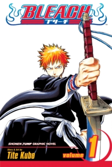 Image for Bleach, Vol. 1