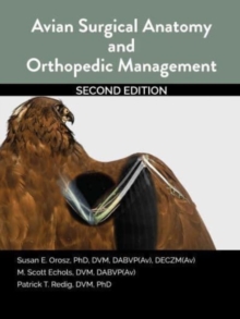 Image for Avian Surgical Anatomy And Orthopedic Management, 2nd Edition
