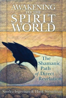 Image for Awakening to the Spirit World: The Shamanic Path of Direct Revelation
