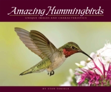 Image for Amazing Hummingbirds : Unique Images and Characteristics