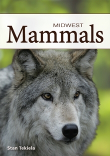 Image for Mammals of the Midwest Playing Cards