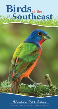 Image for Birds of the Southeast