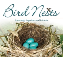 Image for Bird Nests : Amazingly Ingenious and Intricate