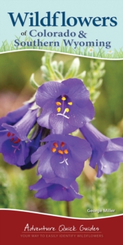 Image for Wildflowers of Colorado & Southern Wyoming : Your Way to Easily Identify Wildflowers