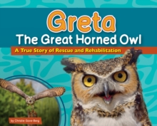 Image for Greta the Great Horned Owl