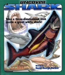 Image for Uncover A Shark