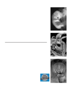 Image for Handbook of pediatric autopsy pathology