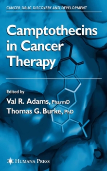 Image for Camptothecins in cancer prevention and therapy