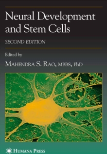 Image for Neural development and stem cells