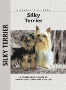 Image for Silky Terrier