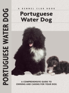 Image for Portuguese water dog