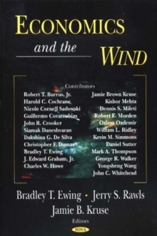 Economics & the Wind