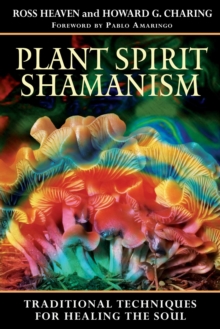 Image for Plant Spirit Shamanism: Traditional Techniques for Healing the Soul