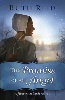 Image for The promise of an angel