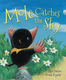Image for Mole Catches the Sky
