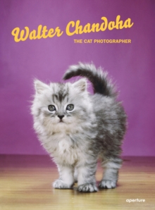 Image for Walter Chandoha - the cat photographer