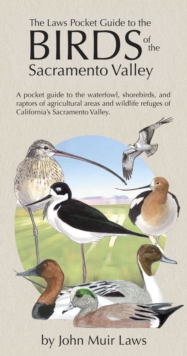 Image for The Laws Pocket Guide to the Birds of the Sacramento Valley : Birds of the Sacramento Valley