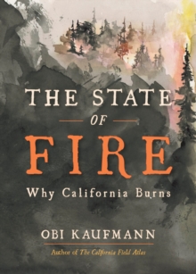 Image for The State of Fire