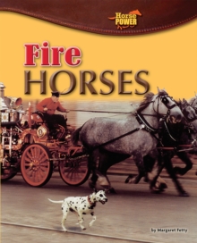 Image for Fire Horses