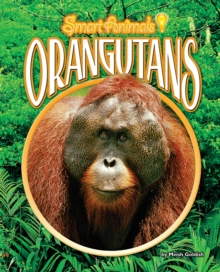 Image for Orangutans